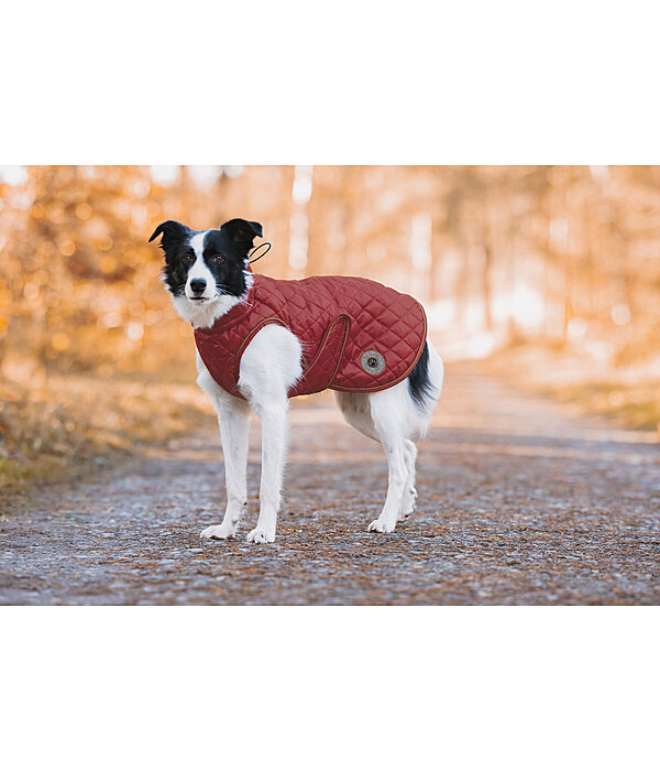 hondendeken Archie met teddyfleece voering, 160 g