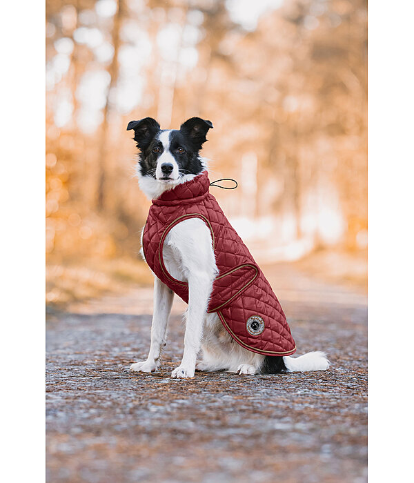 hondendeken Archie met teddyfleece voering, 160 g