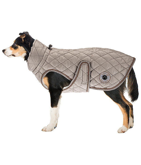hondendeken Archie met teddyfleece voering, 160 g