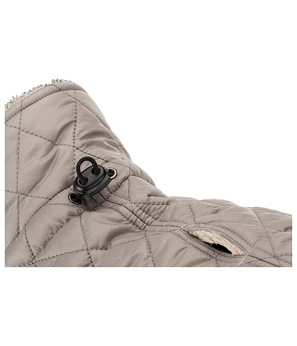 hondendeken Archie met teddyfleece voering, 160 g
