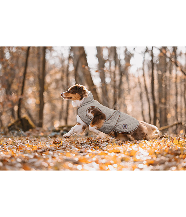 hondendeken Archie met teddyfleece voering, 160 g