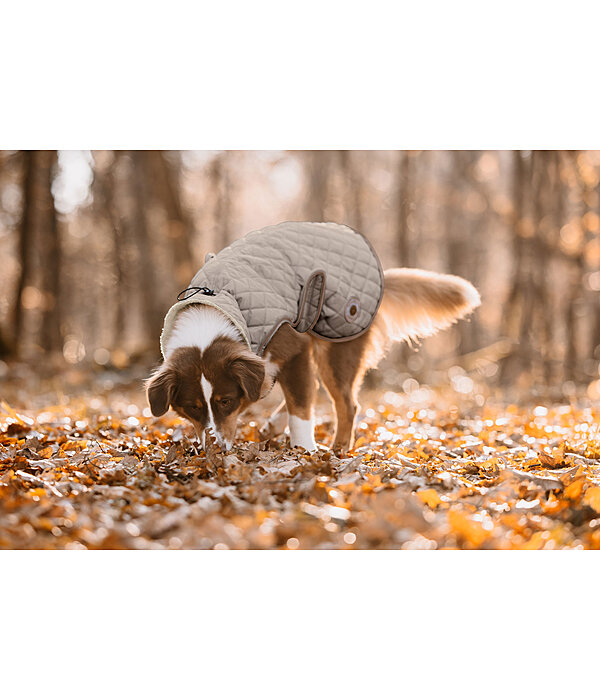 hondendeken Archie met teddyfleece voering, 160 g