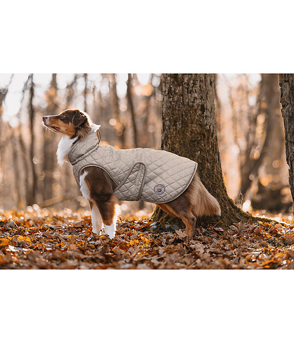 hondendeken Archie met teddyfleece voering, 160 g
