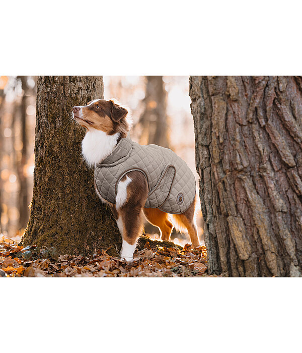 hondendeken Archie met teddyfleece voering, 160 g