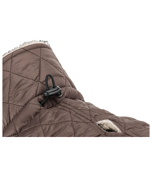 hondendeken Archie met teddyfleece voering, 160 g