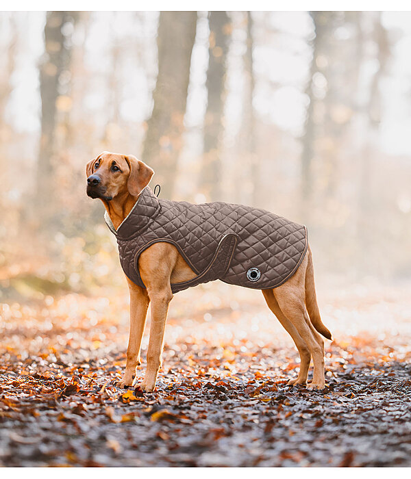 hondendeken Archie met teddyfleece voering, 160 g