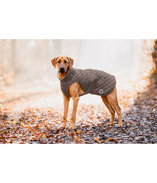 hondendeken Archie met teddyfleece voering, 160 g