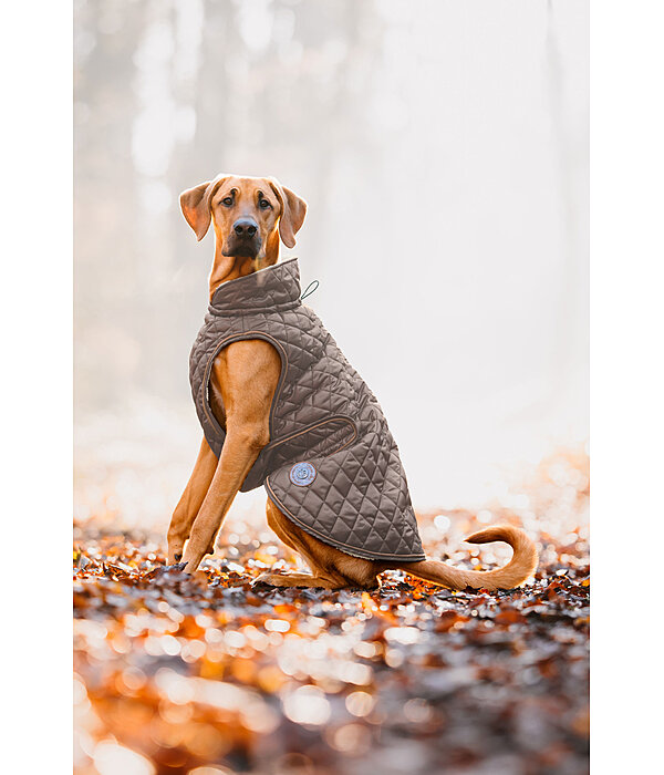 hondendeken Archie met teddyfleece voering, 160 g