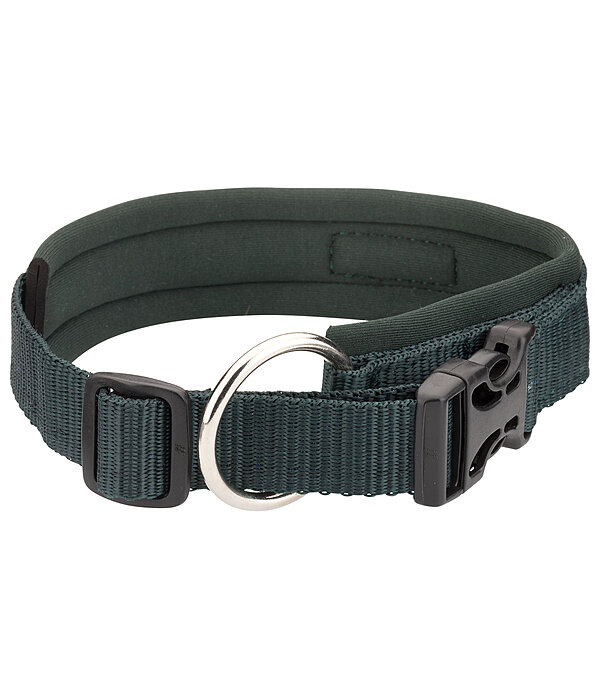 hondenhalsband Becks