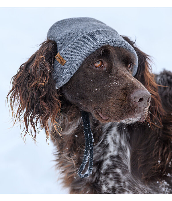 honden Beanie Evin