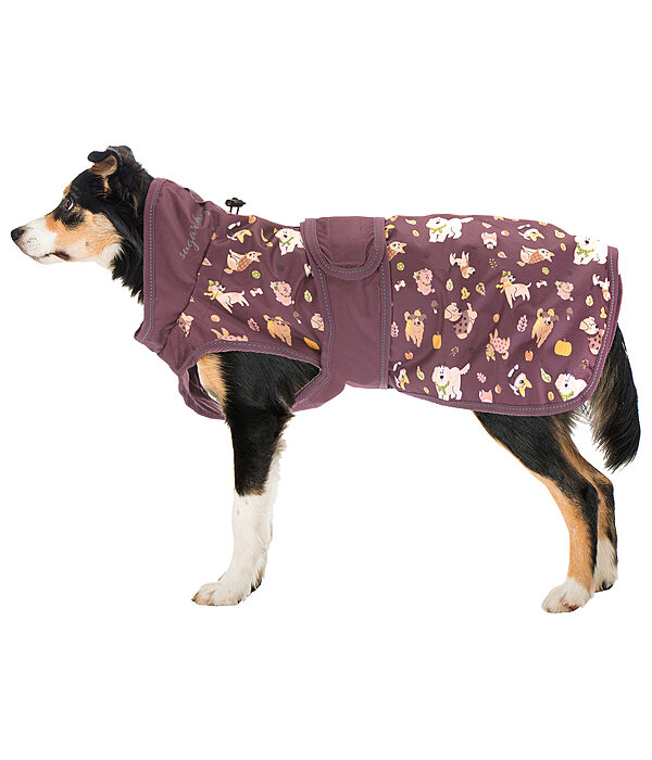 honden regenjas Pumpkin Spice, 0 g
