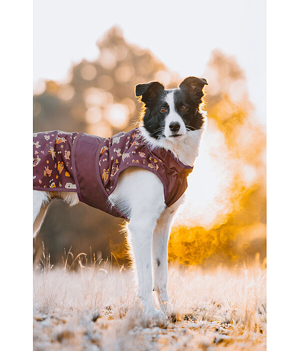 honden regenjas Pumpkin Spice, 0 g