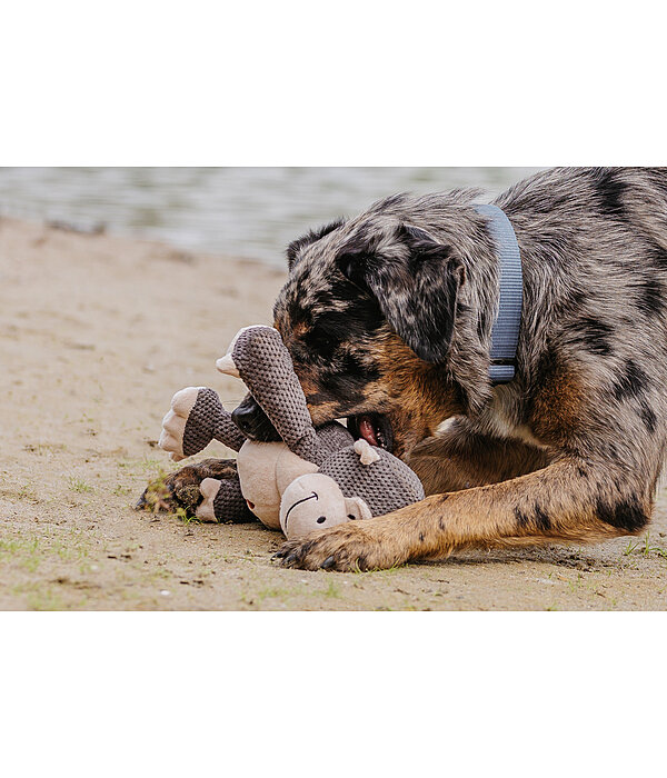 hondenspeelgoed knuffel aap Alfie