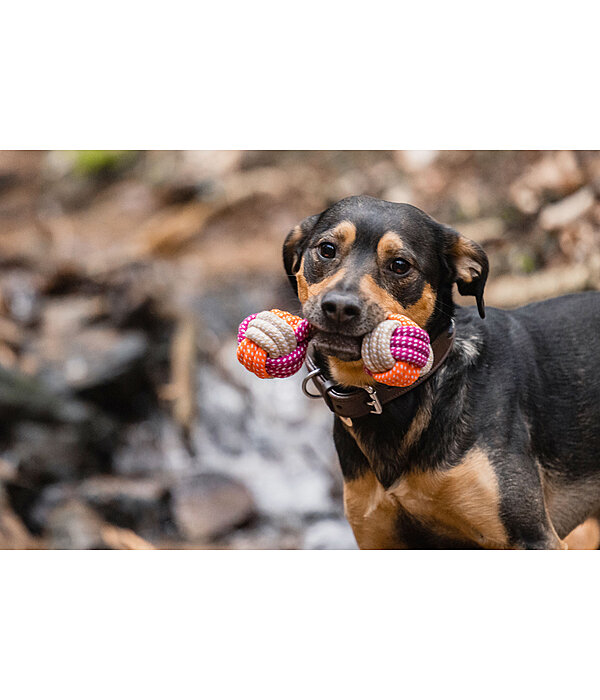 honden touwspeeltje Sepp