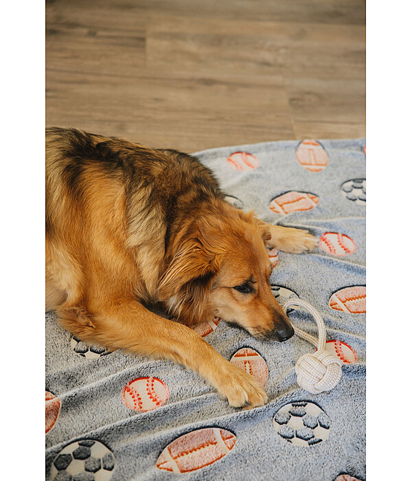 dauwspeeltje Jack voor honden