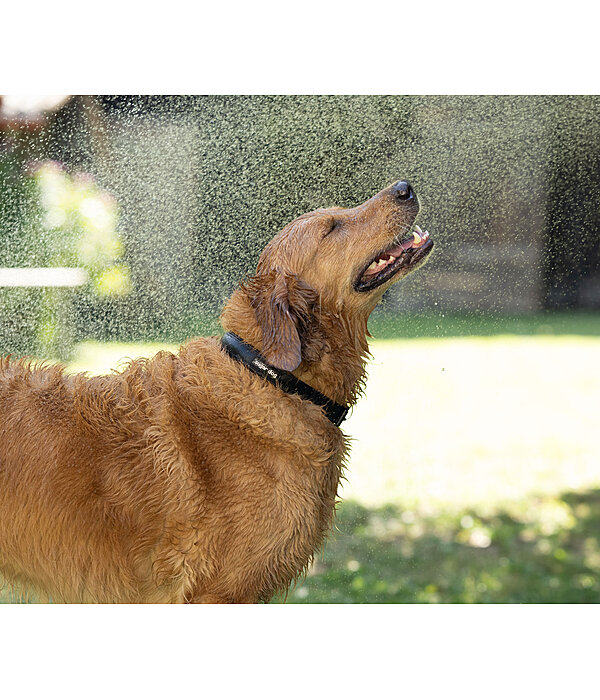 waterdichte hondenhalsband Mable