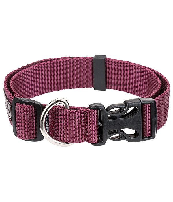 honden halsband Champ