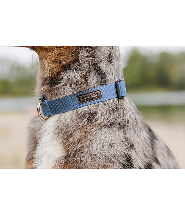 honden halsband Champ