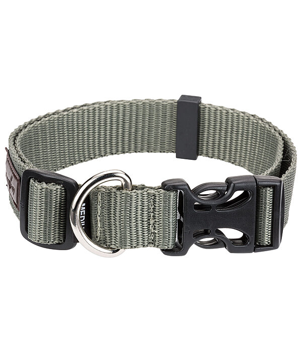 honden halsband Champ