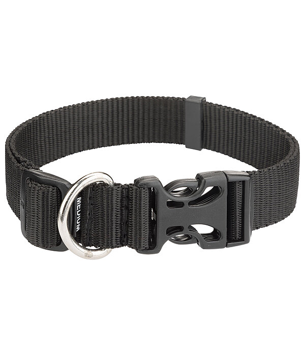 honden halsband Champ