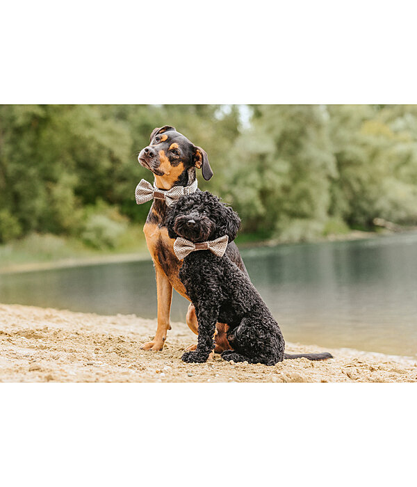 strikje Tribal Love voor honden