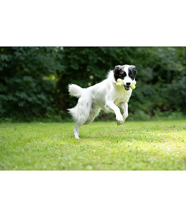 honden waterspeelgoed Marble Bone