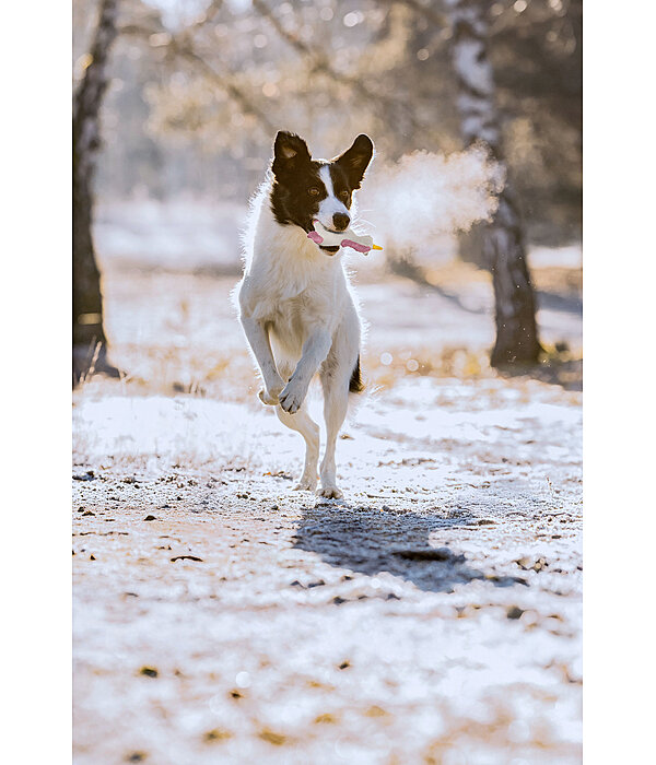 honden piepspeeltje Unicorn