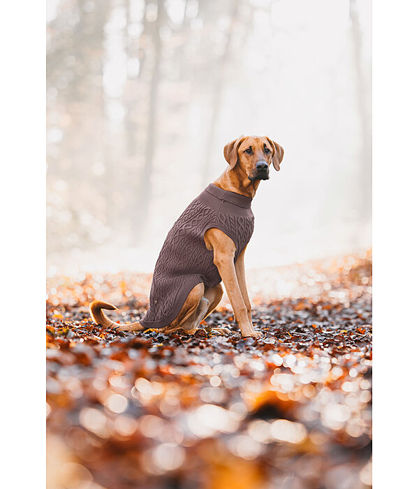 honden pullover Maisie
