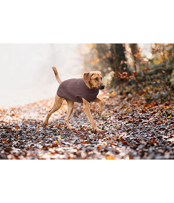 honden pullover Maisie