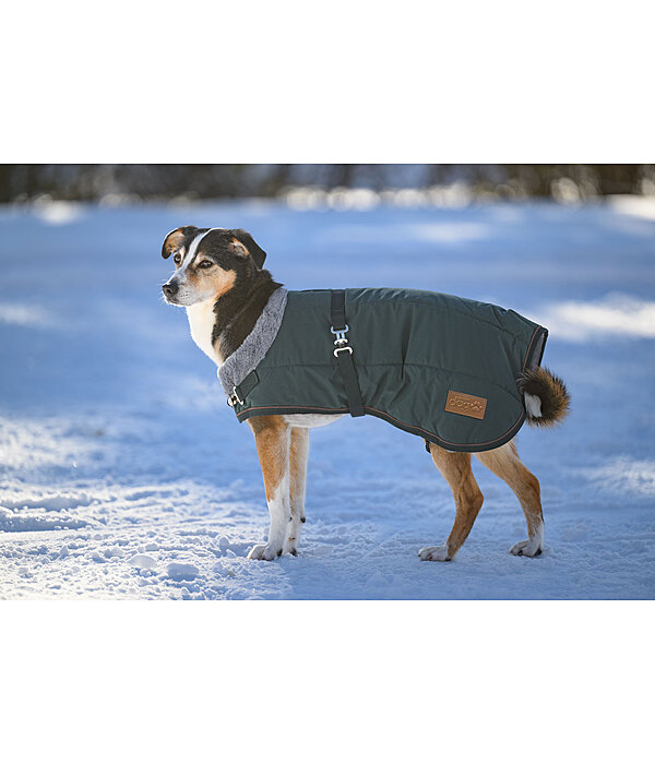 Winter-hondenmantel Gizmo met teddy binnenvoering, 200 g