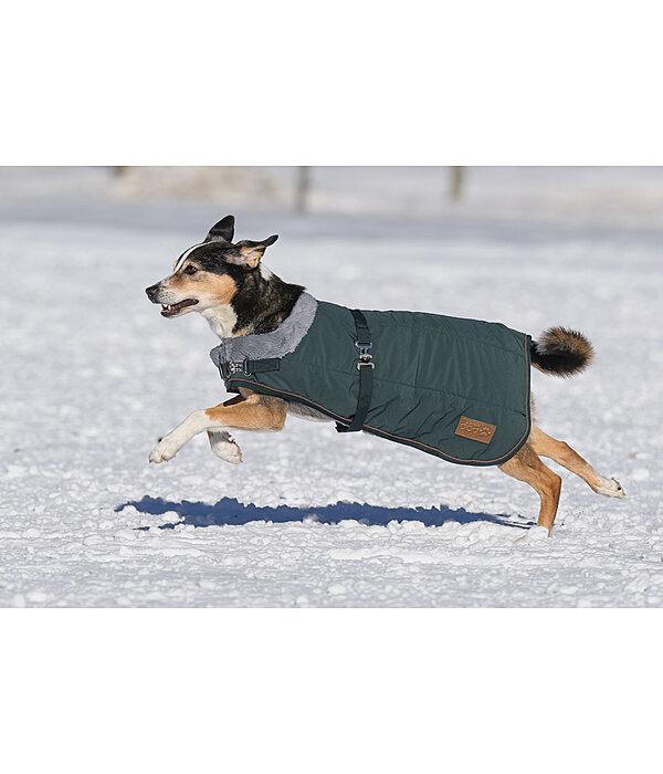 Winter-hondenmantel Gizmo met teddy binnenvoering, 200 g