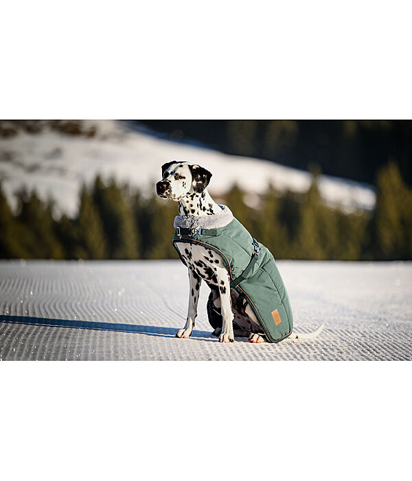 Winter-hondenmantel Gizmo met teddy binnenvoering, 200 g