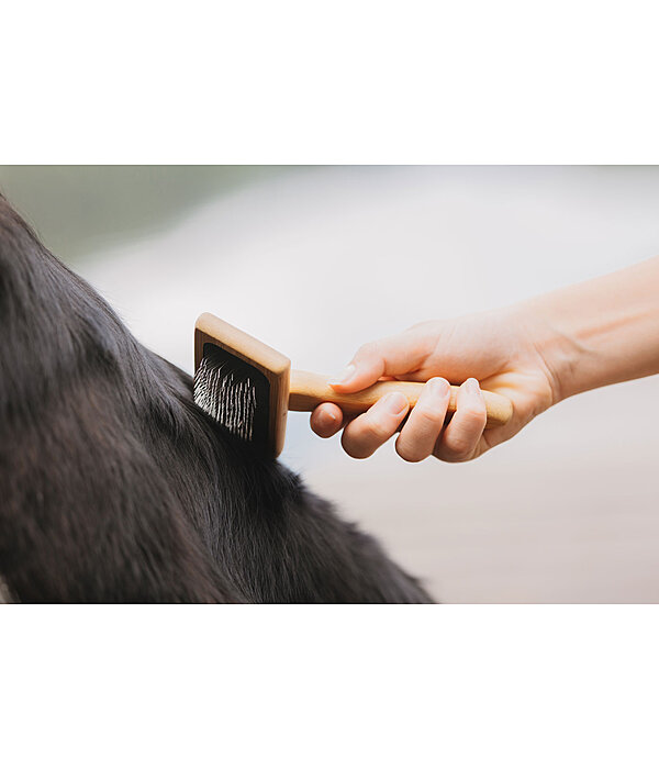 honden vachtverwijderingsborstel Woody