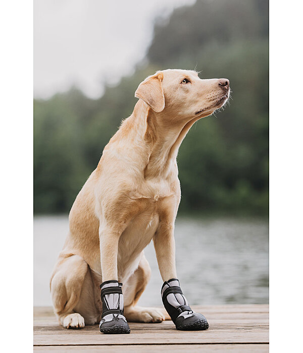 potenbeschermers Dubai voor honden