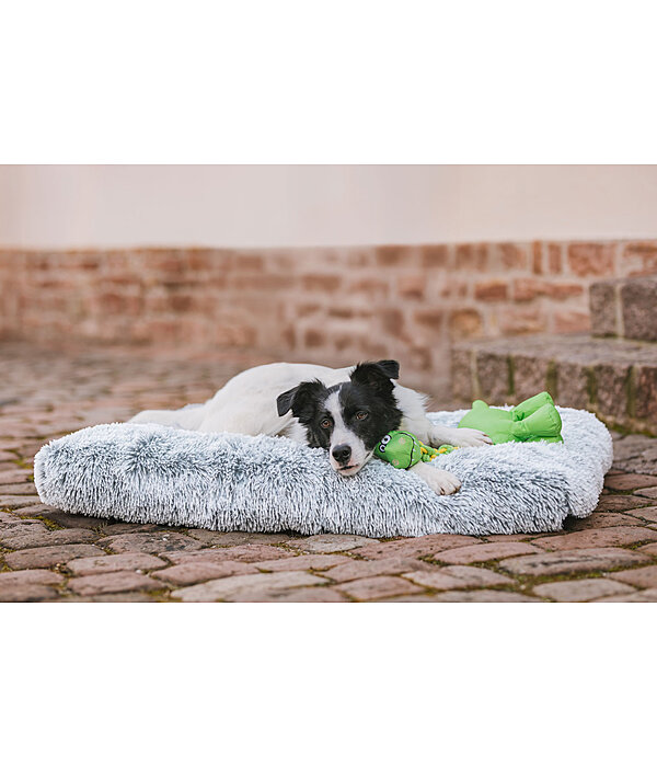 Sugar dog hondenbed Marlie