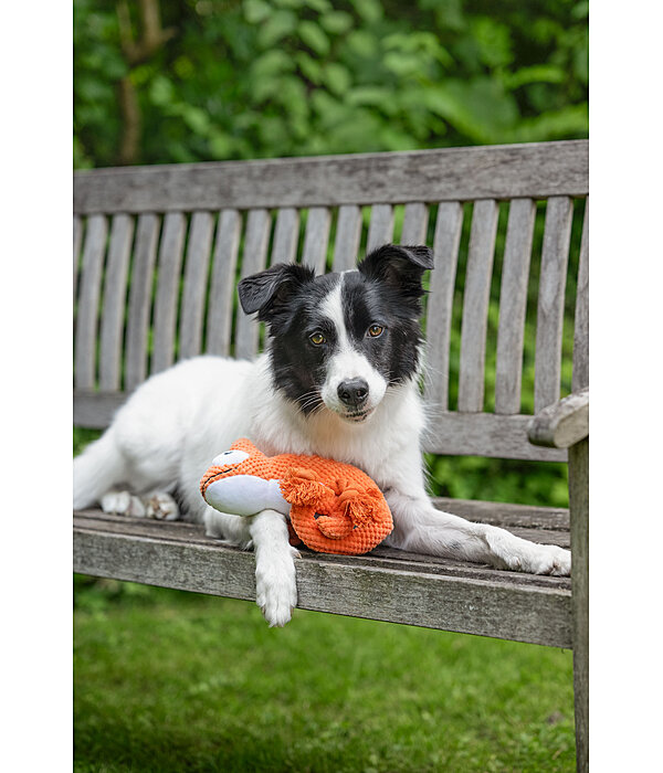 hondenspeeltje Chameleon