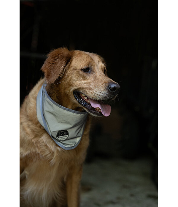 reflecterende halsdoek voor honden