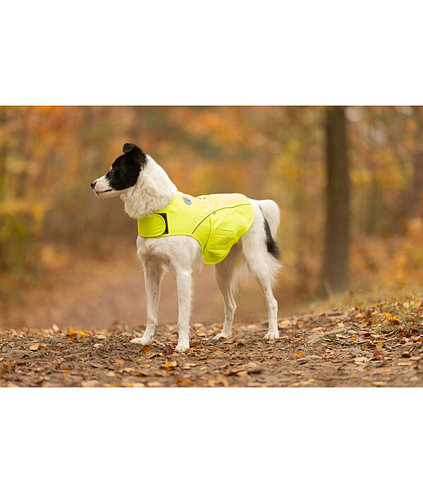 reflecterend veiligheidsvest voor honden