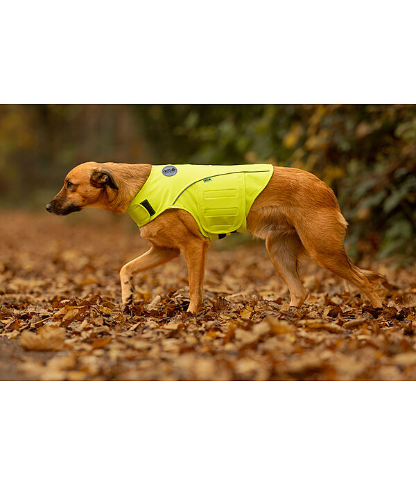 reflecterend veiligheidsvest voor honden