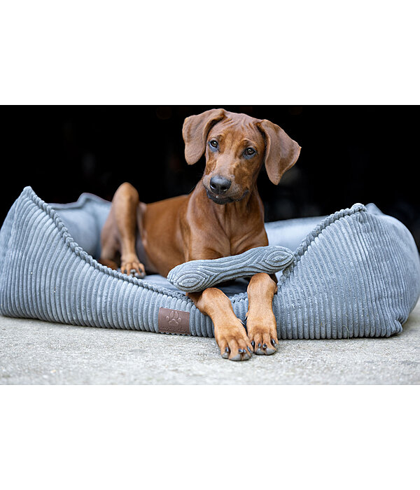 knuffelbot van corduroy