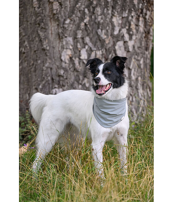 verkoelende halsdoek Frostie