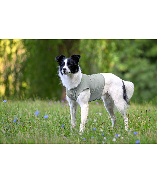 verkoelend shirt Frostie