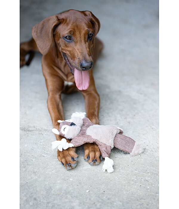 hondenspeelgoed eekhoorn