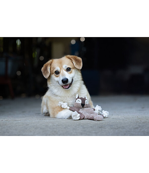 hondenspeelgoed eekhoorn