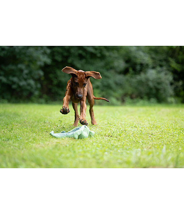 hondenspeeltje Octopus