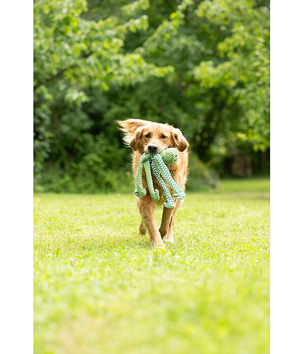 hondenspeeltje Octopus