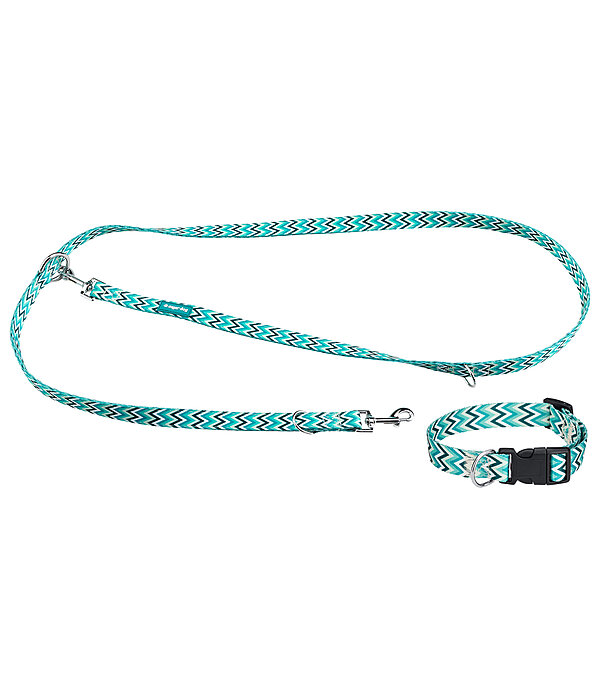halsband en riem set zap