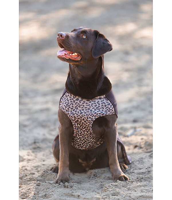 honden ondertrek- en fleecetrui Basic