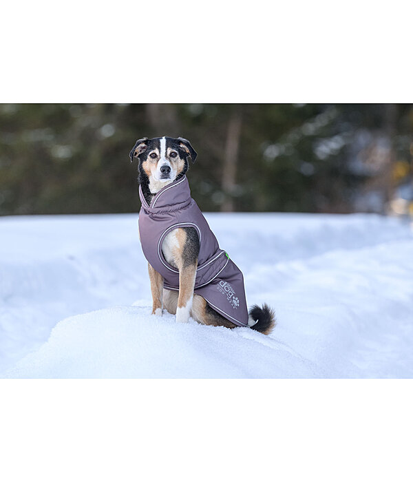 winterhondenmantel Archie Snow Drift, 200 g