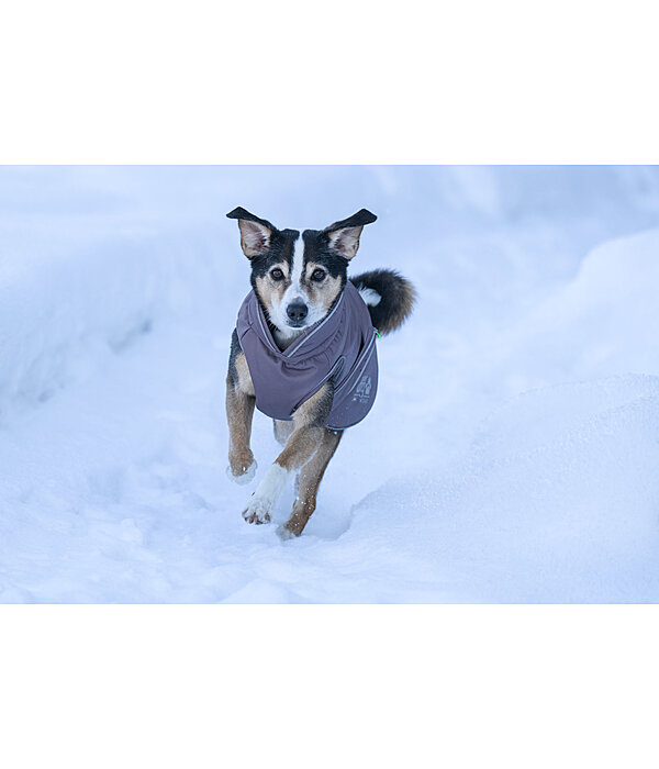 winterhondenmantel Archie Snow Drift, 200 g